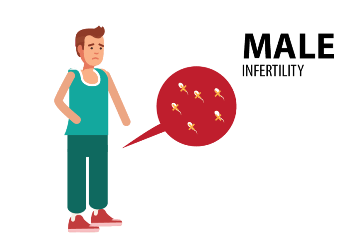 The Impact of Lifestyle on Male&nbsp;Fertility